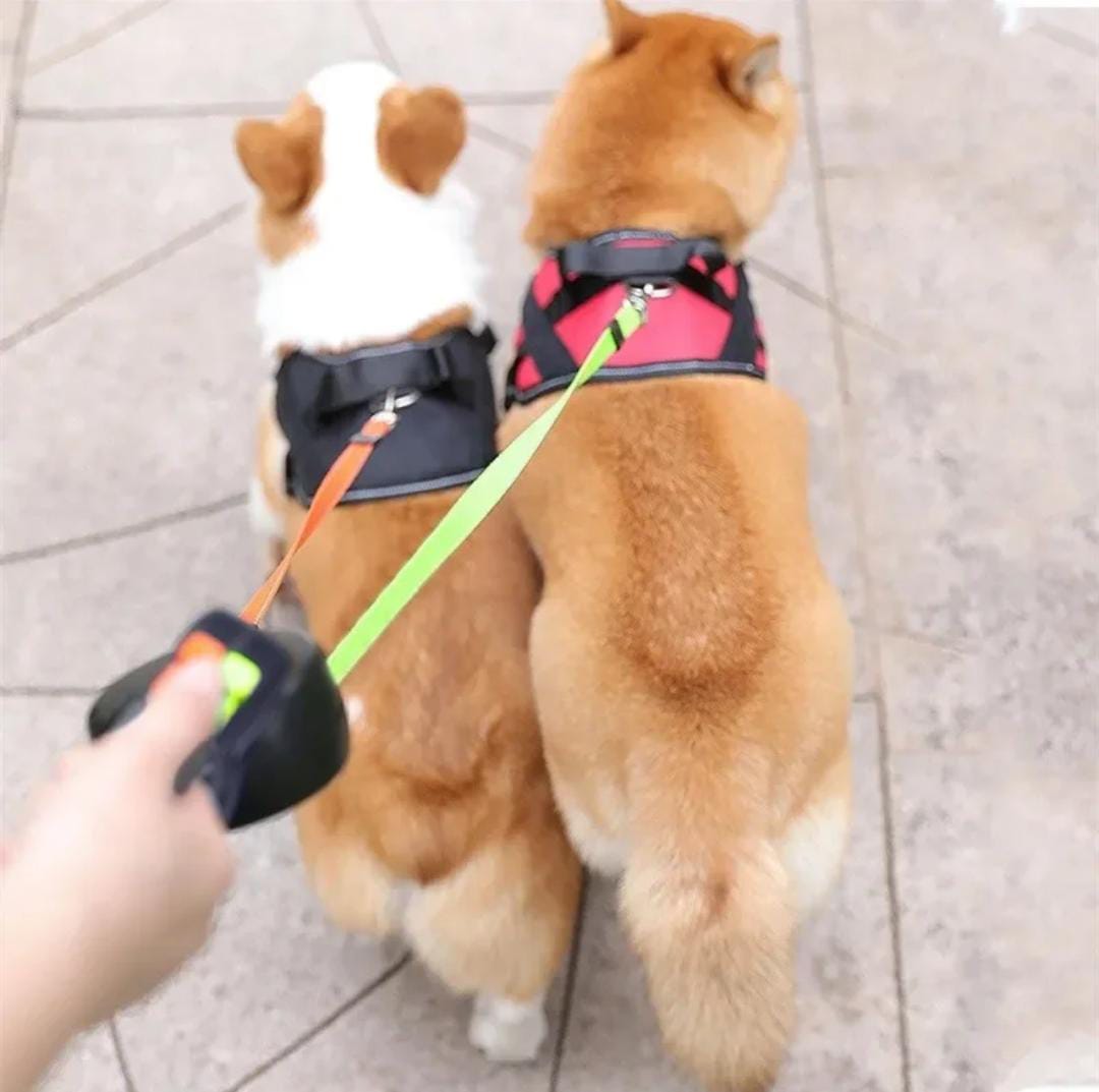 The bes Dual Dog Retractable Leash