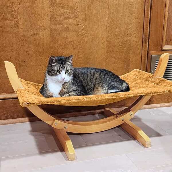 Cat Hammock- best cat hammock – luxury ComfyCat Hammock Bed