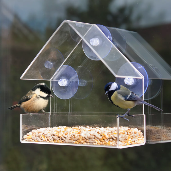 bird window feeder