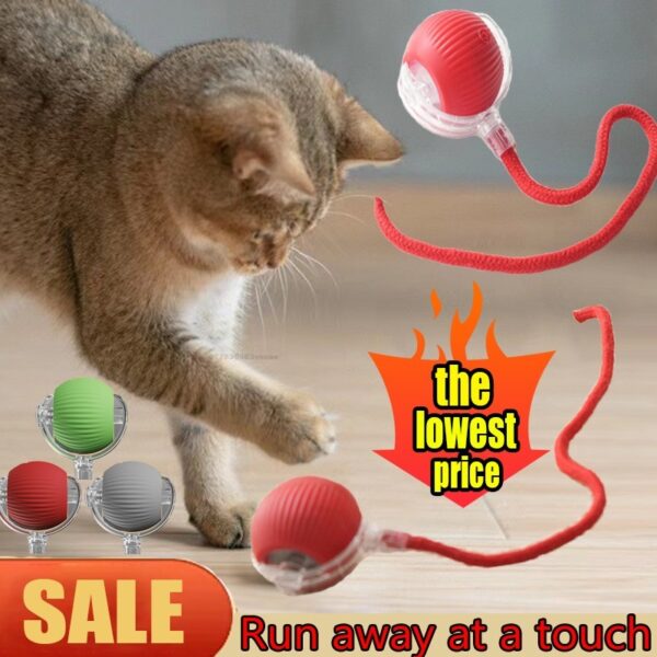 Interactive Cat Toys