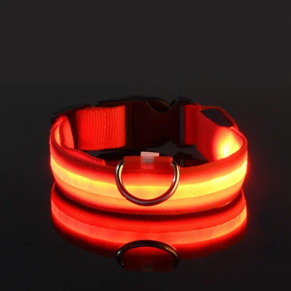 Dog Collar Nylon LED Night Safety Flashing Glow Service dog collar - Image 6