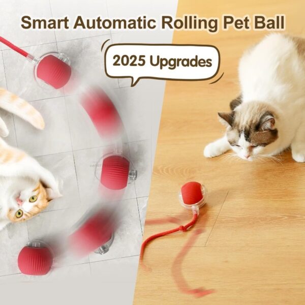 Interactive Cat Toys