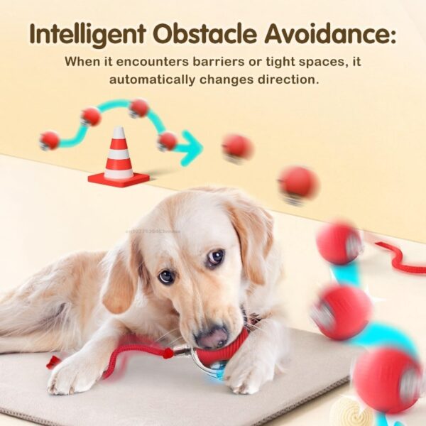 Interactive dog Toys