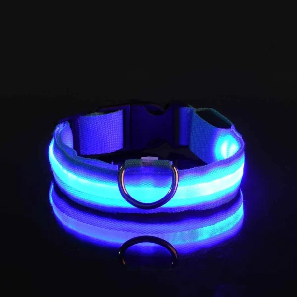 Dog Collar Nylon LED Night Safety Flashing Glow Service dog collar - Image 7