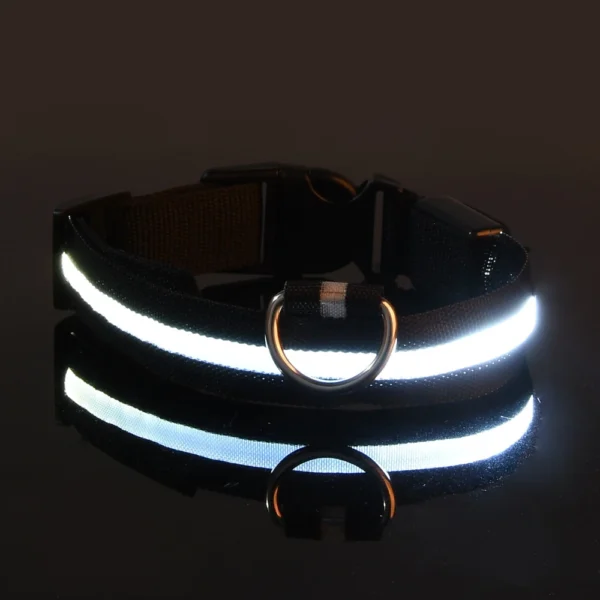 Dog Collar Nylon LED Night Safety Flashing Glow Service dog collar - Image 4