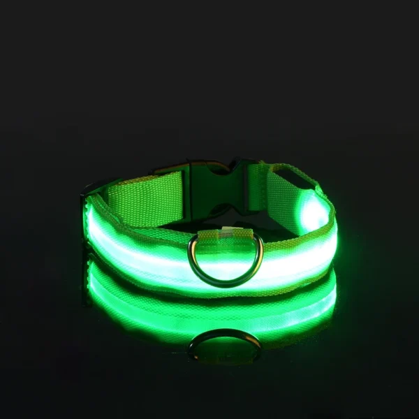 Dog Collar Nylon LED Night Safety Flashing Glow Service dog collar - Image 5