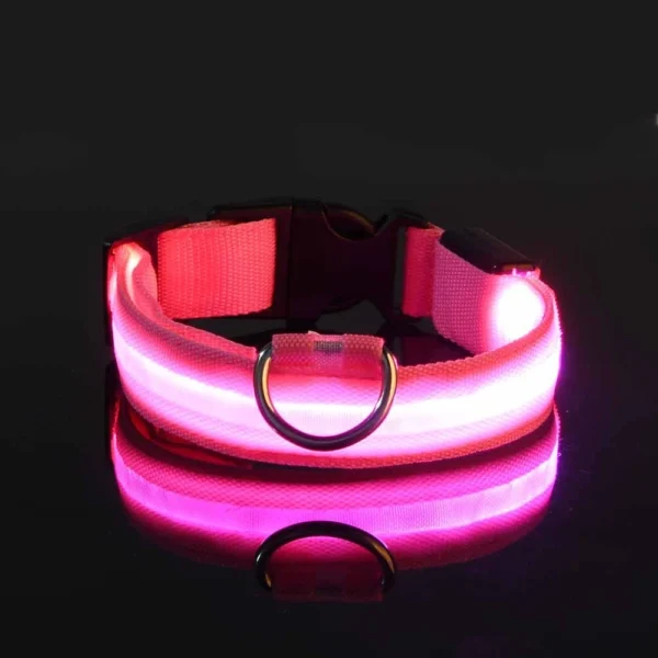 Dog Collar Nylon LED Night Safety Flashing Glow Service dog collar - Image 8