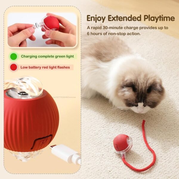 Interactive Cat Toys