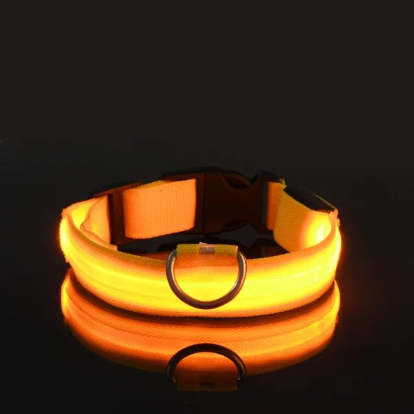 Dog Collar Nylon LED Night Safety Flashing Glow Service dog collar - Image 3