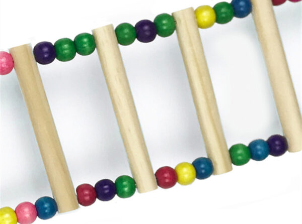 Parrot Toy Bird Supplies Colorful Swing Ladder - Image 7