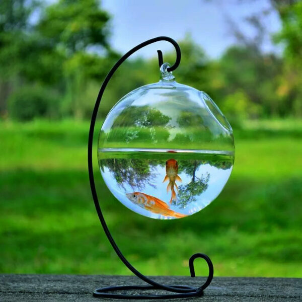 Hanging Glass Vase Fish Tank - Image 3