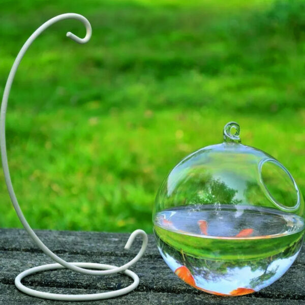 Hanging Glass Vase Fish Tank - Image 4