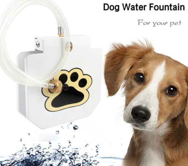 Outdoor Dog Pet Water Fountain - Image 4