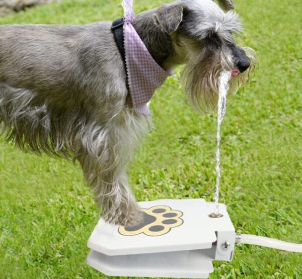 Outdoor Dog Pet Water Fountain - Image 3