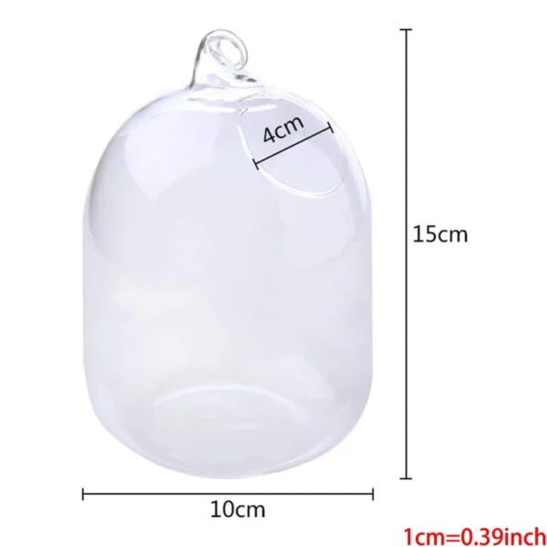 Bottle Aquarium Flower Plant Vase Suspended Transparent Hanging Glass Fish Flower Vase for Home Decoration - Image 3
