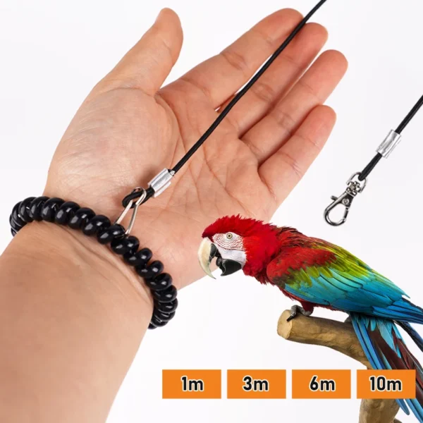 Pet Bird Outdoor Training Harness Rope Bird foot Chain Parrot Anti-flying Traction Straps Bird Feet Bracelet Alloy Foot Ring - Image 6