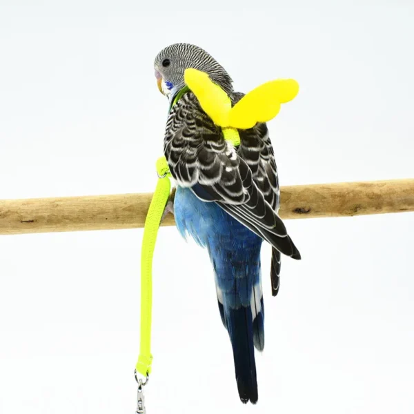 Parrot Flying Harness Leash Suit Pet Bird Outdoor Flight Training Rope Cockatiel Supplies Macaw Accessories  Stuff For Budgie - Image 3