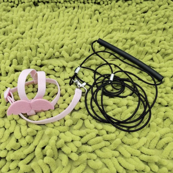 Parrot Flying Harness Leash Suit Pet Bird Outdoor Flight Training Rope Cockatiel Supplies Macaw Accessories  Stuff For Budgie - Image 6