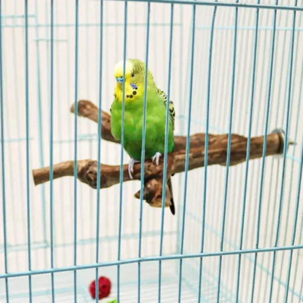 Pet Standing Stick Wild Grape Wood Pole Parrot Cockatiel Parakeet Station Board Bite Claw Grinding Toy Bird Cage Accessories - Image 6