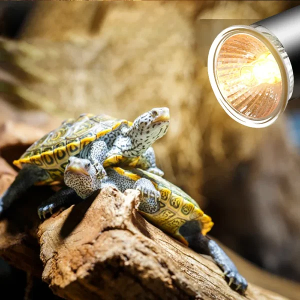 25/50/75W UVA+UVB Reptile Lamp Bulb Turtle Basking UV Light Bulbs Heating Lamp Amphibians Lizards Temperature Controller - Image 3
