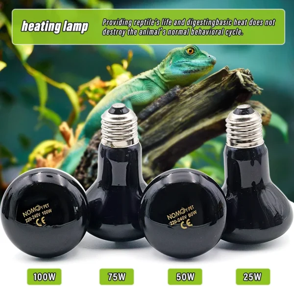 220v Pet Reptile UVA UVB Lamp Bulb Reptile Daylight Lamp Heating Lamp Basking Light For Turtle Lizard Terrarium - Image 2