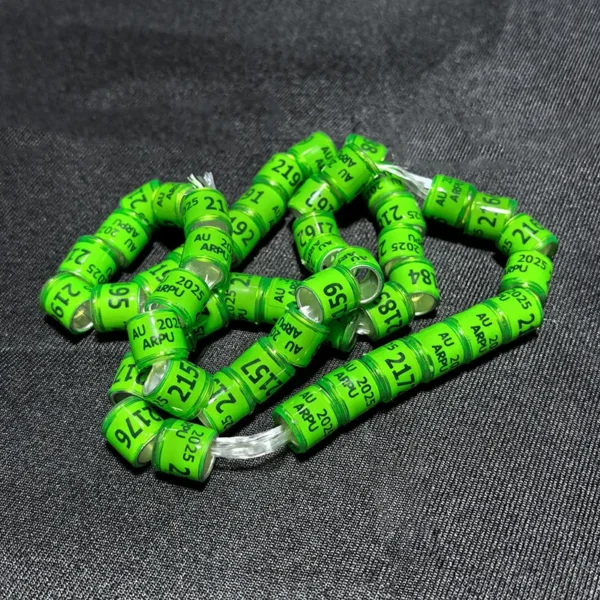 50 Pcs 2025 Multicolor Pigeon Foot Ring With Word Earrings Quality Durable Bird Ring Racing Pigeon Foot Ring Bird Tools - Image 3