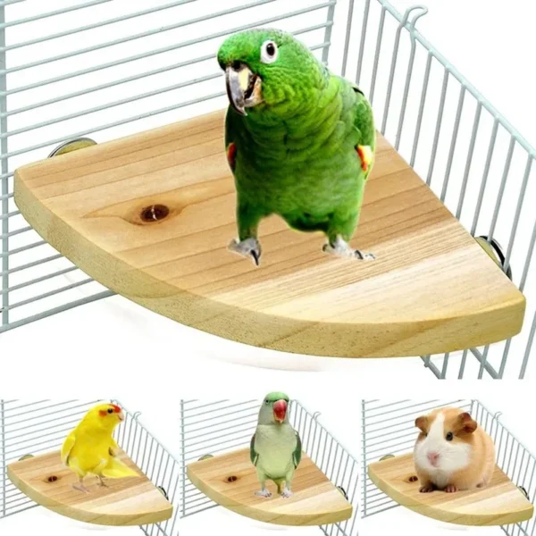 Parrot Bird Wood Perch Stand Platform Rectangle Fan-shaped Shelf Stand Board Parakeet Hamster Gerbil Rat Cage birdcage Supplies - Image 2