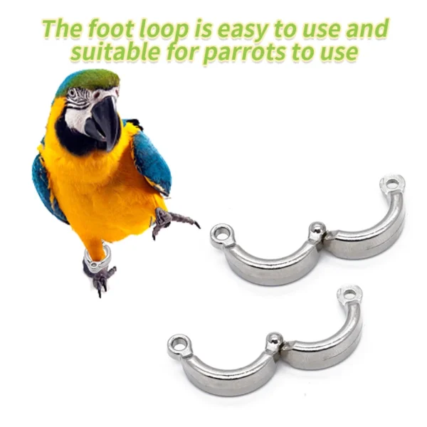 Parrot Leg Ring Stainless Steel Bird Ankle Foot Chain Ring Anti Bite Wire Rope Outdoor Flying Training Accessories Pigeon Supply - Image 5