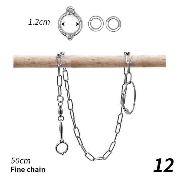 Parrot Leg Ring Stainless Steel Bird Ankle Foot Chain Ring Anti Bite Wire Rope Outdoor Flying Training Accessories Pigeon Supply - Image 12