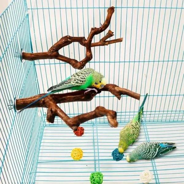 Pet Standing Stick Wild Grape Wood Pole Parrot Cockatiel Parakeet Station Board Bite Claw Grinding Toy Bird Cage Accessories - Image 2