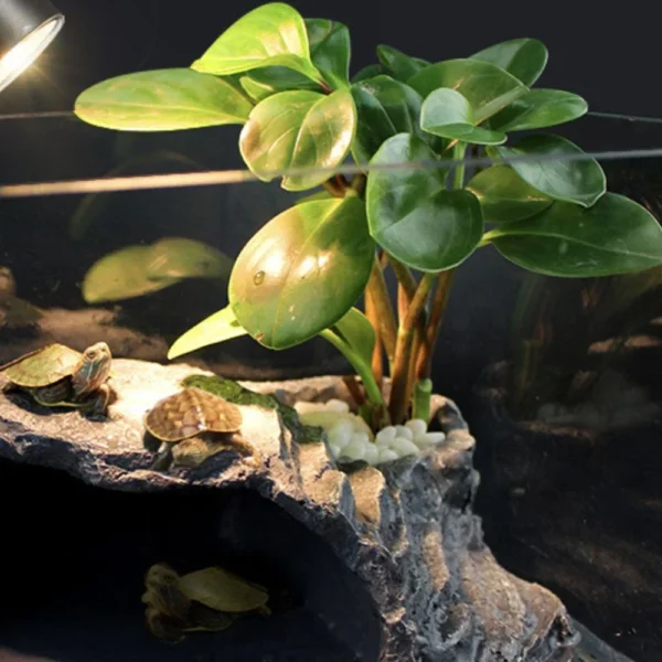 25/50/75W UVA+UVB Reptile Lamp Bulb Turtle Basking UV Light Bulbs Heating Lamp Amphibians Lizards Temperature Controller - Image 4