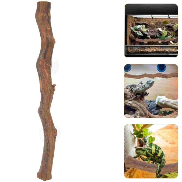 Bearded Dragon Accessory Wooden Tree Branch Reptile Tree Branch Lizard Reptile Toy DIY Craft Party Decoration - Image 6