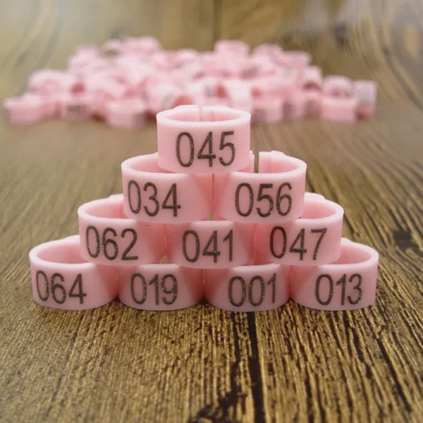 100pcs Bird Clip Ring ID 8mm Plastic Digital Markup Parrot Pigeons 10 Colors Marking Ring 8mm Bird Training Foot Ring 001-100 - Image 14