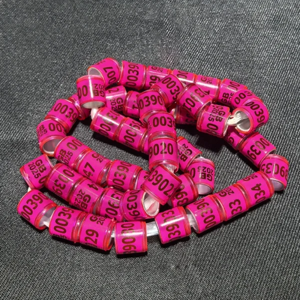50 Pcs 2025 Multicolor Pigeon Foot Ring With Word Earrings Quality Durable Bird Ring Racing Pigeon Foot Ring Bird Tools - Image 10