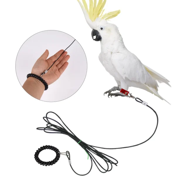 Pet Bird Outdoor Training Harness Rope Bird foot Chain Parrot Anti-flying Traction Straps Bird Feet Bracelet Alloy Foot Ring - Image 2