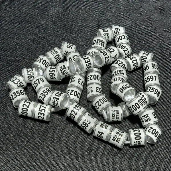 50 Pcs 2025 Multicolor Pigeon Foot Ring With Word Earrings Quality Durable Bird Ring Racing Pigeon Foot Ring Bird Tools - Image 4