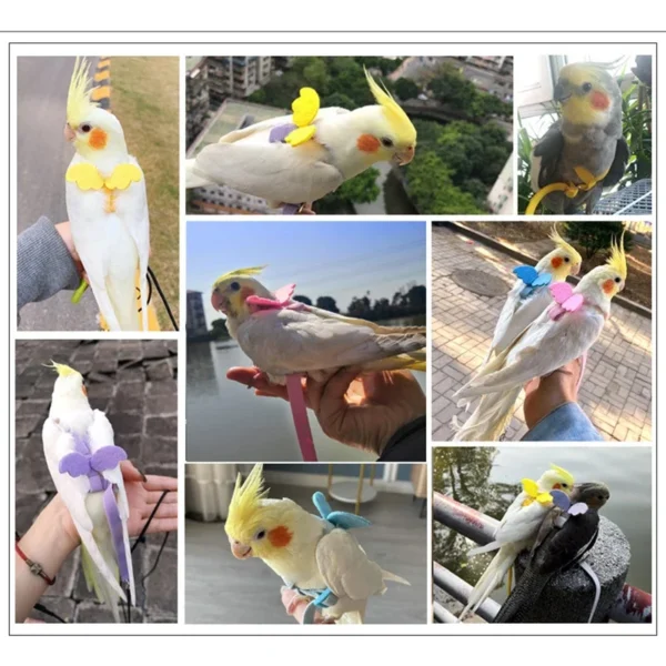 Parrot Flying Harness Leash Suit Pet Bird Outdoor Flight Training Rope Cockatiel Supplies Macaw Accessories  Stuff For Budgie - Image 5