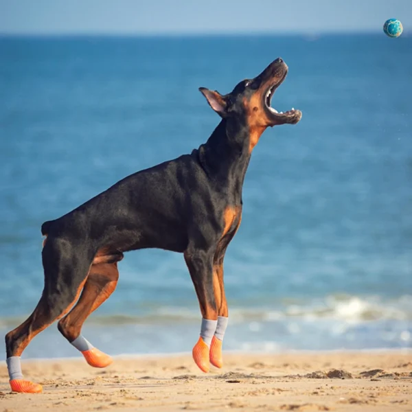 4PCS/Set Dog Boots Waterproof Rain Winter Pet Snow Shoes Puppy Sock Shoes with Antislip Sole Soft Comfortable Dog Paw Protector - Image 2