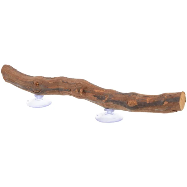 Bearded Dragon Accessory Wooden Tree Branch Reptile Tree Branch Lizard Reptile Toy DIY Craft Party Decoration - Image 2
