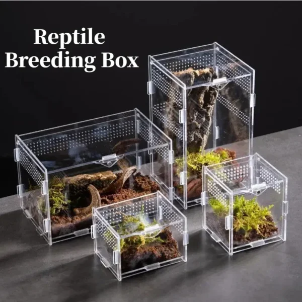 Reptile Terrarium Habitat Breeding Box Acrylic Transparent Reptiles Cage Nano Arboreal Tarantula Enclosure Dearded Dragon 파충류 - Image 2