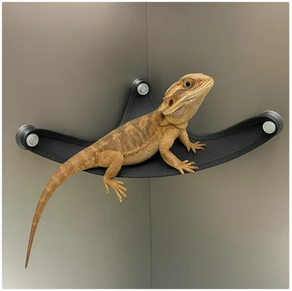 New Model Lizard Hammock Reptiles Mesh Breathable Hammock Climbing Pet Summer Cool Hammock Little Favored One Hammock - Image 5