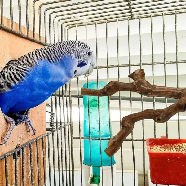 Pet Standing Stick Wild Grape Wood Pole Parrot Cockatiel Parakeet Station Board Bite Claw Grinding Toy Bird Cage Accessories - Image 4