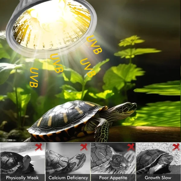 4/2/1Pcs Tortoise Lizard Basking Lamp 25W 50W 75W Pet Heating E27 Bulb Chameleon Snake Turtle Reptile Heating Light UVA Sunlight - Image 2