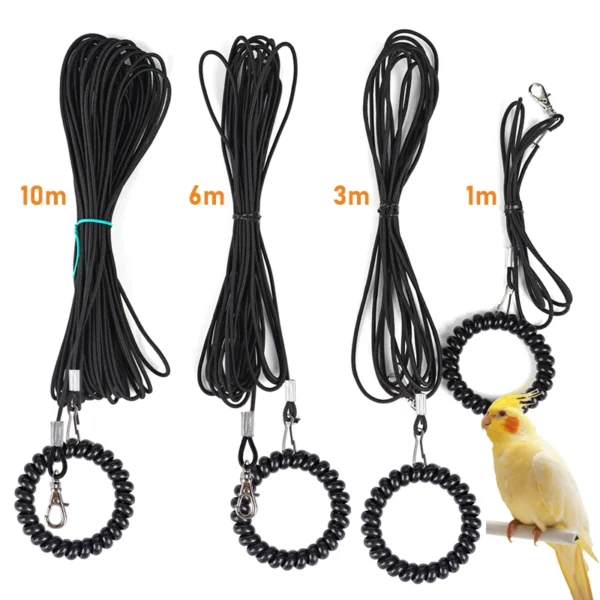 Pet Bird Outdoor Training Harness Rope Bird foot Chain Parrot Anti-flying Traction Straps Bird Feet Bracelet Alloy Foot Ring - Image 3