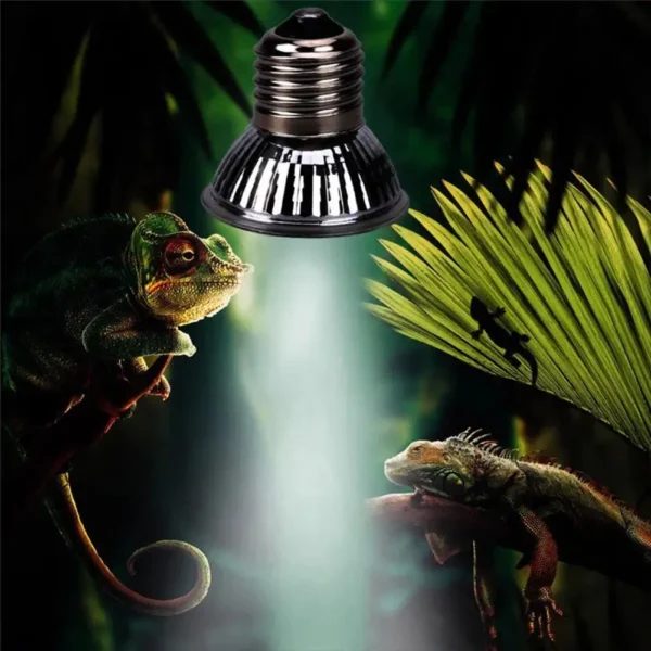 25/50/75W UVA+UVB Reptile Lamp Bulb Turtle Basking UV Light Bulbs Heating Light Full Spectrum Sunlamp for Amphibians Pets Snake - Image 4