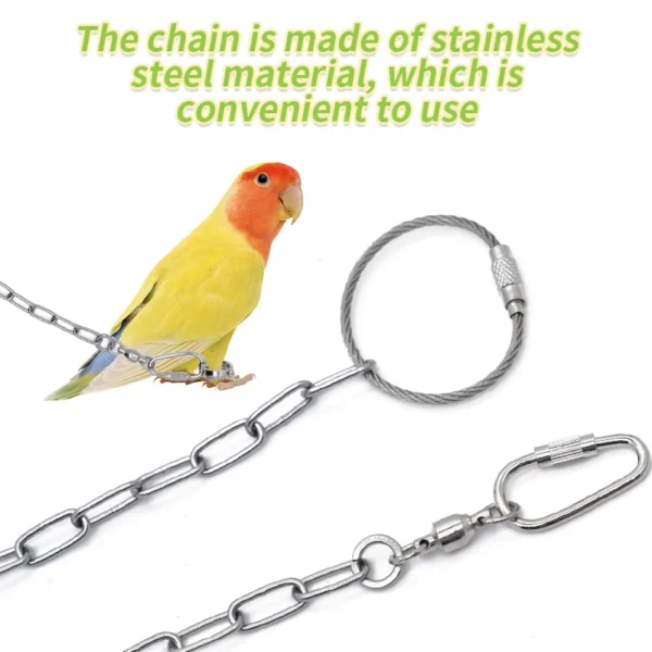 Parrot Leg Ring Stainless Steel Bird Ankle Foot Chain Ring Anti Bite Wire Rope Outdoor Flying Training Accessories Pigeon Supply - Image 4