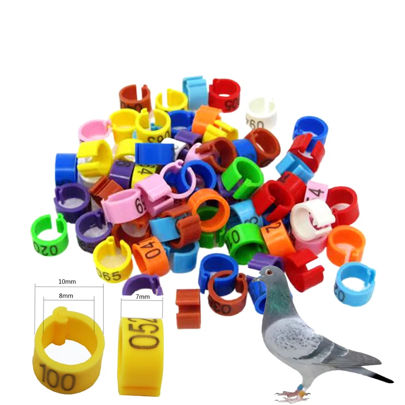 100pcs Bird Clip Ring ID 8mm Plastic Digital Markup Parrot Pigeons 10 Colors Marking Ring 8mm Bird Training Foot Ring 001-100