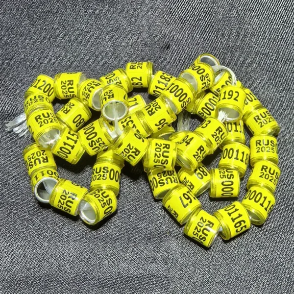 50 Pcs 2025 Multicolor Pigeon Foot Ring With Word Earrings Quality Durable Bird Ring Racing Pigeon Foot Ring Bird Tools - Image 2