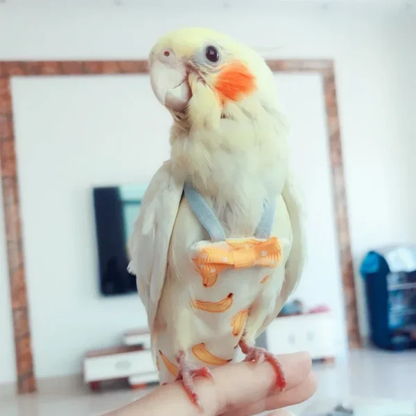 Parrot Pigeon Diaper Flight Suit Bird Nappy Parrot Clothes for Green Cheek Parakeet Cockatiel Conure Small Medium Birds - Image 6