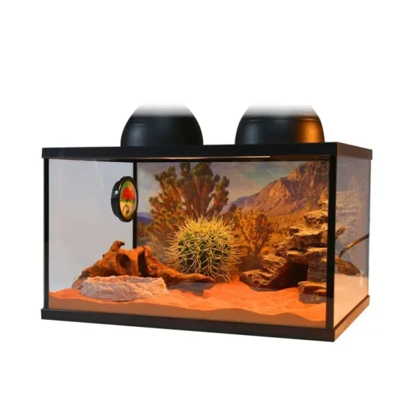 Reptile Pet Glass Feeding Box Turtle Terrarium Rainforest Ecological Tank Snail CrabSnake Spider Lizard Horned Frog - Image 5
